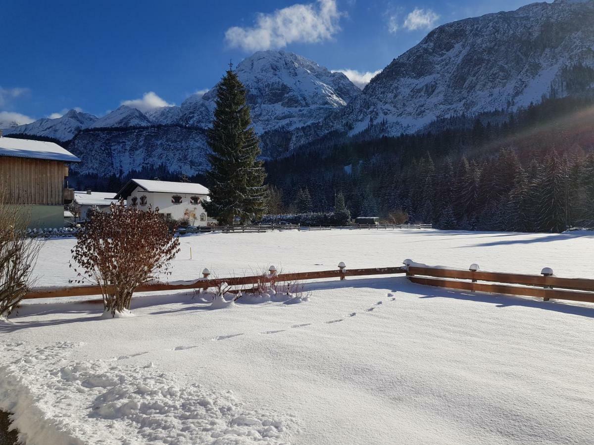 Apartmenthaus Larchenhof Ehrwald Dış mekan fotoğraf
